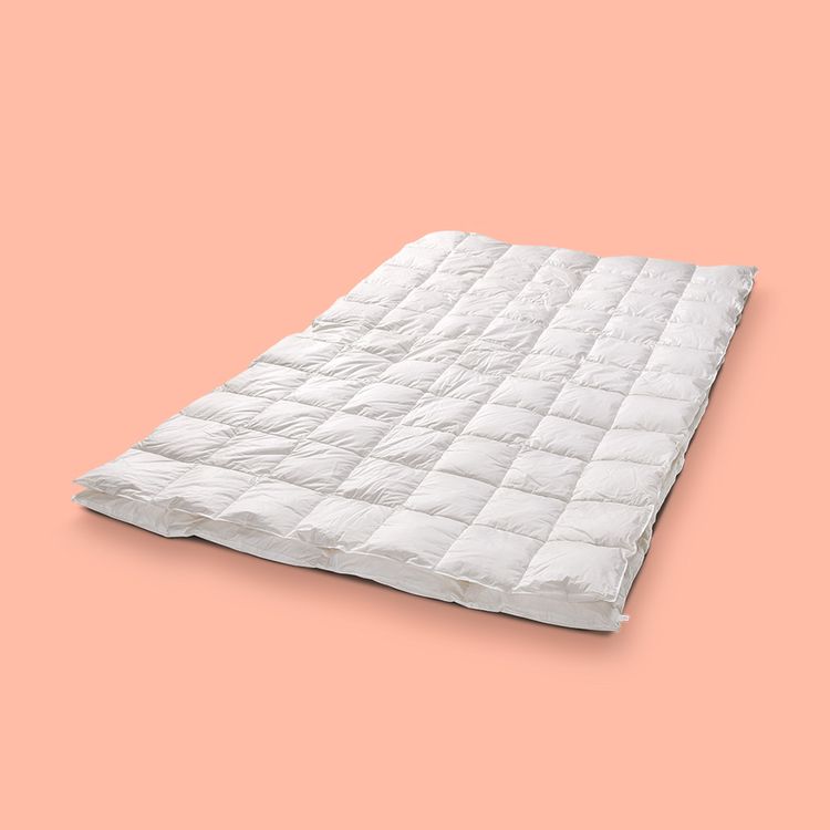 Jonk Montana WK2 "Gemiddelde Warmte"