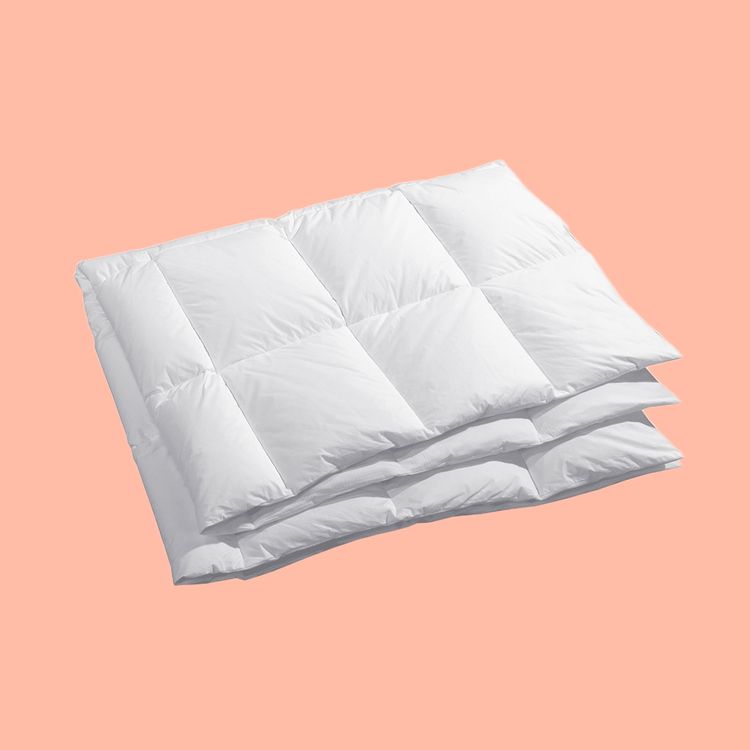 Dauny Zermatt Medium