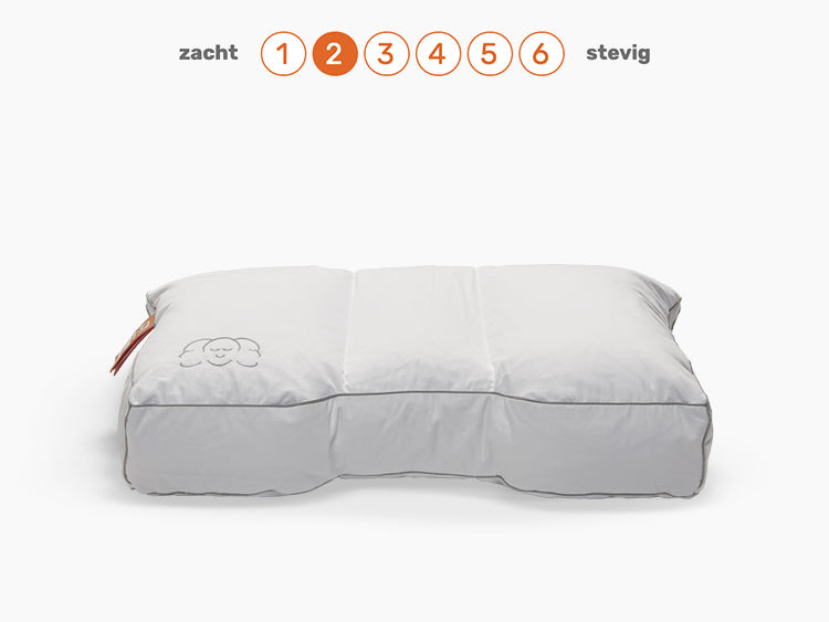 Silvana Royale Oranje