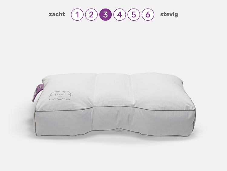 Silvana Royale Paars