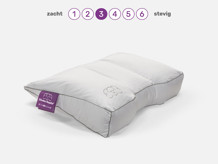 Silvana Royale Paars